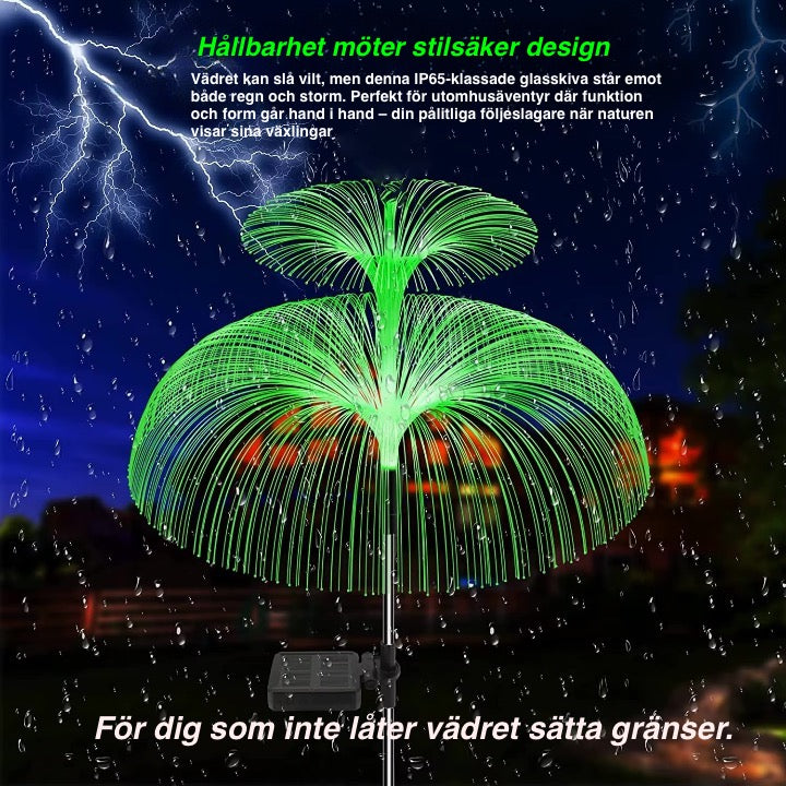 Färgsprakande Belysning för Trädgården!