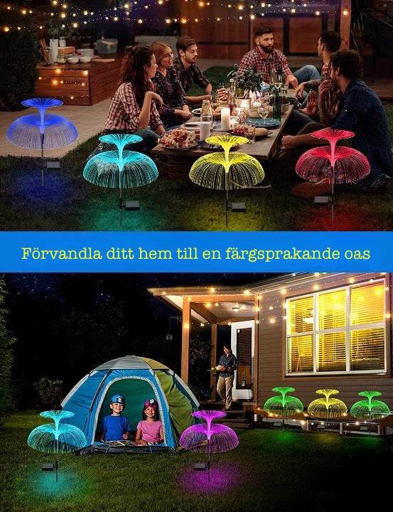 Färgsprakande Belysning för Trädgården!