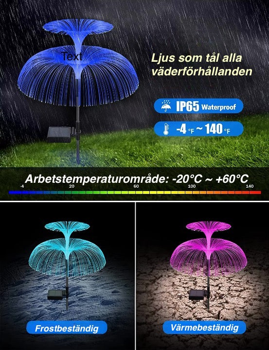 Färgsprakande Belysning för Trädgården!