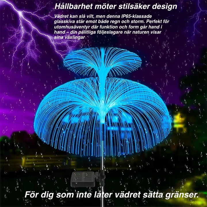 Färgsprakande Belysning för Trädgården!